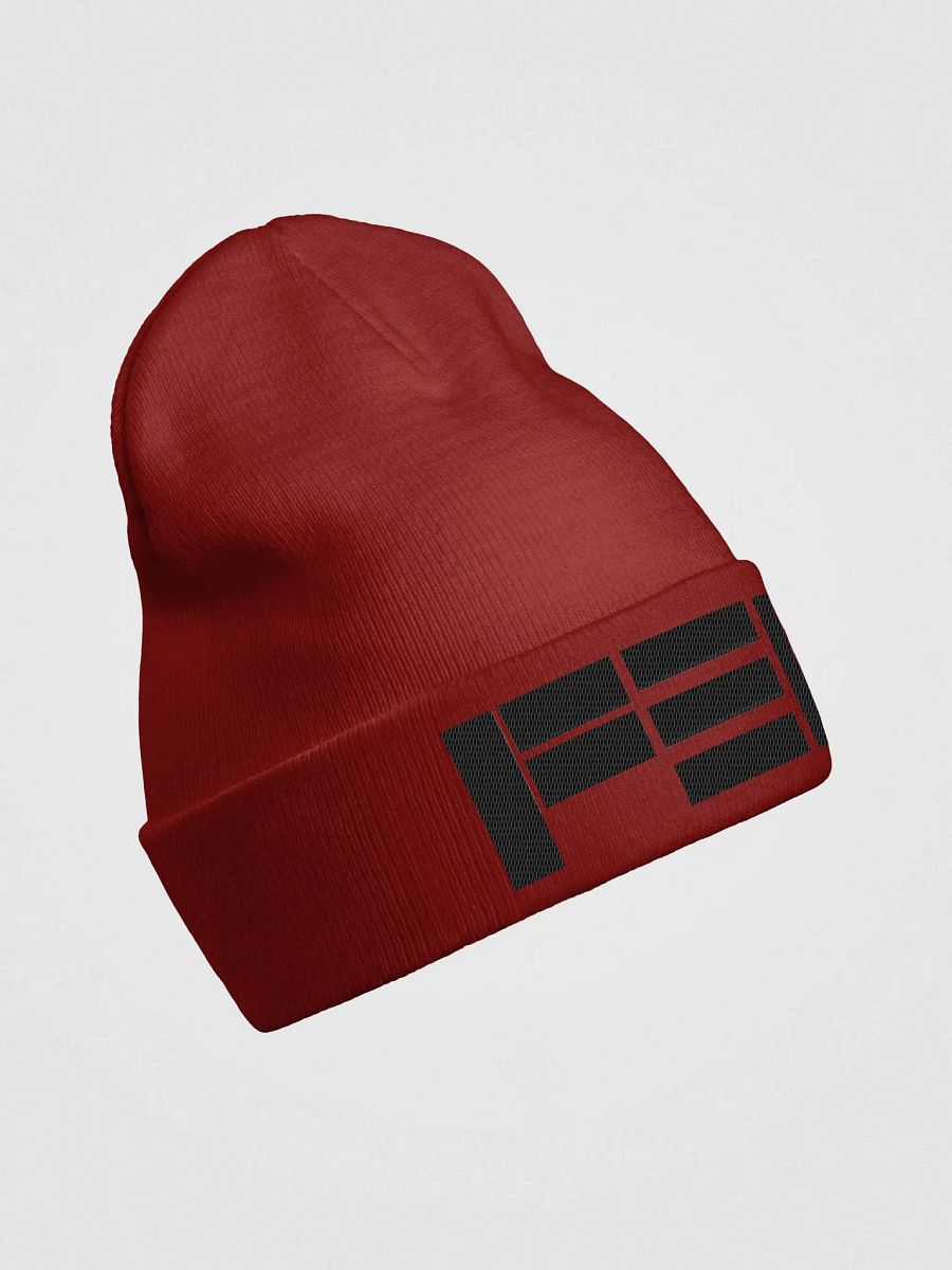 The Infamous PDC Beenie product image (3)