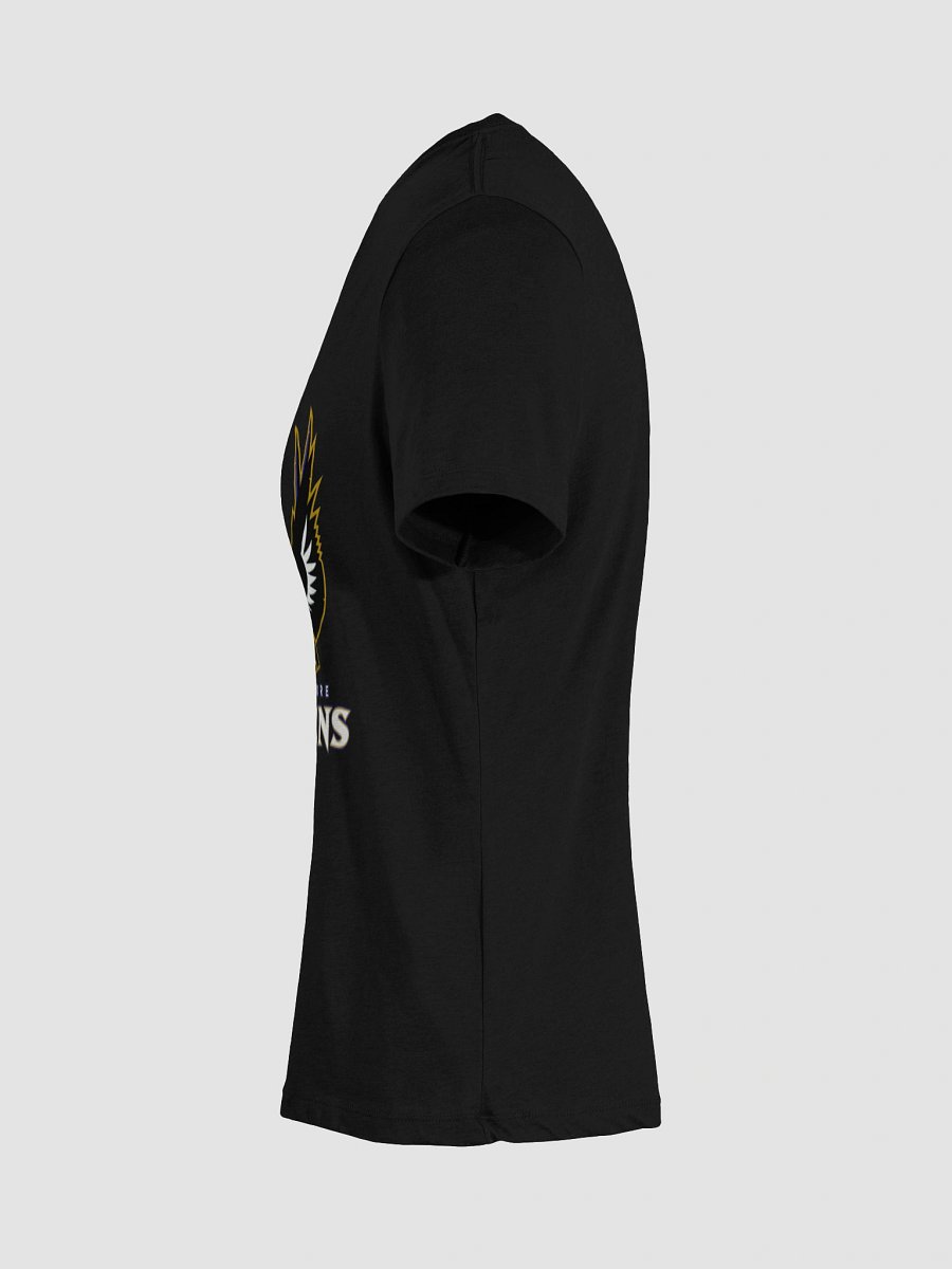 RAVENS - Fury Women's Relaxed V-Neck product image (10)