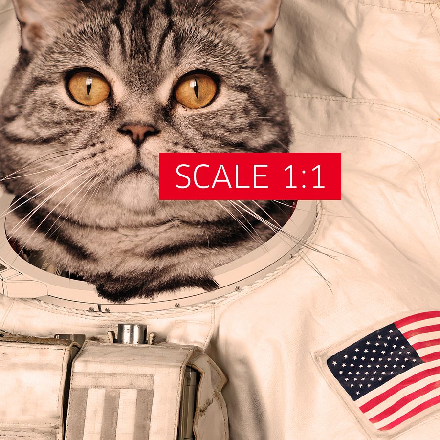 Cat Astronaut, NASA photo — space collage poster, astronaut photo portrait, digital collage, space poster product image (4)