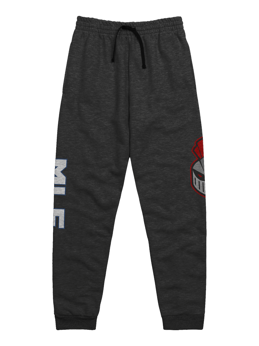 Knights Unisex Joggers product image (23)