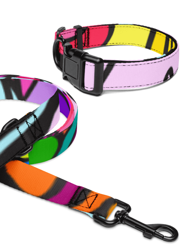 Vibrant Stripes Pet Collar & Leash Set - Wave at Sunset product image (9)