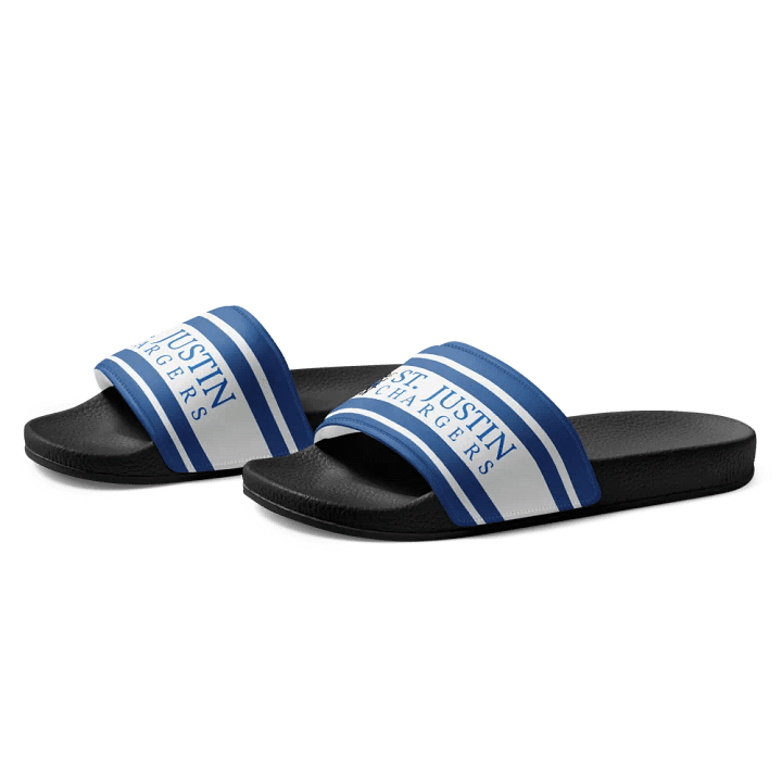 STJ Slides product image (2)