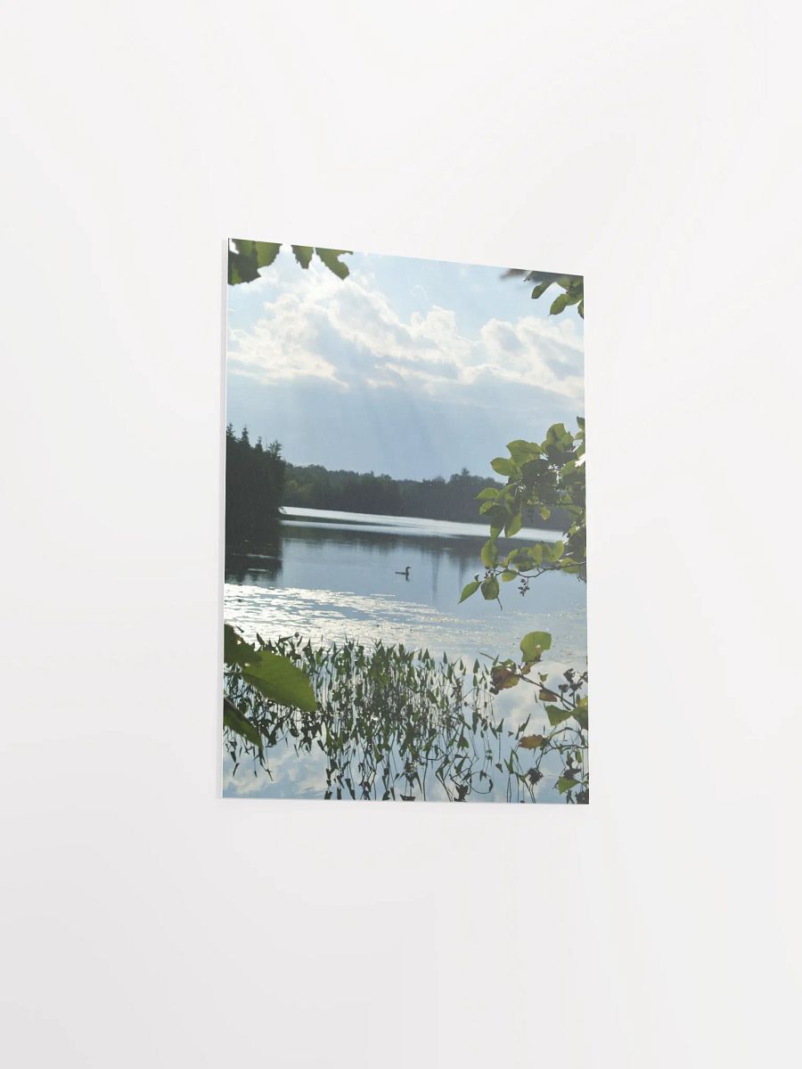 Don't get loonie product image (9)