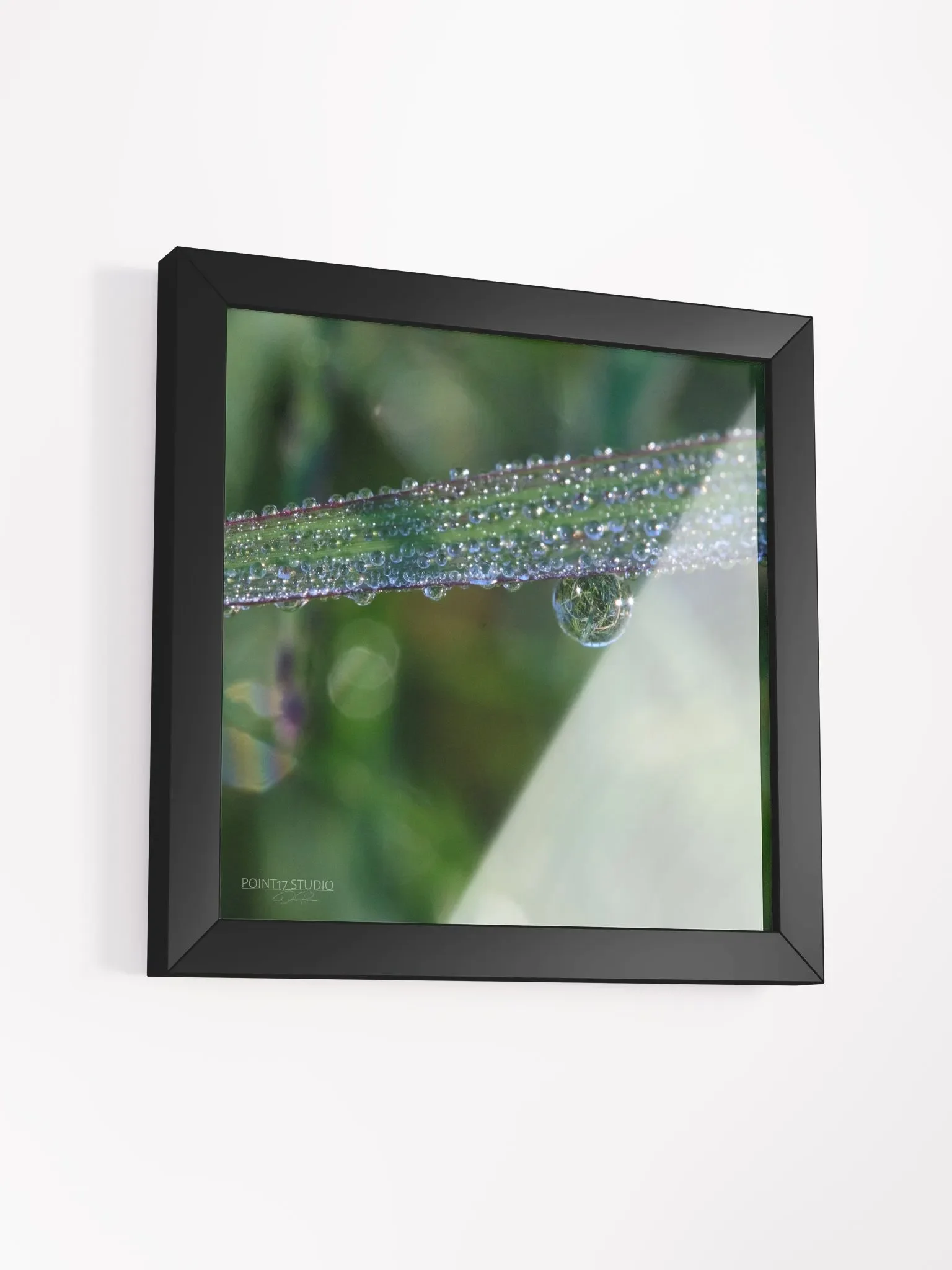 Dew Gems #3 - Framed Print product image (3)