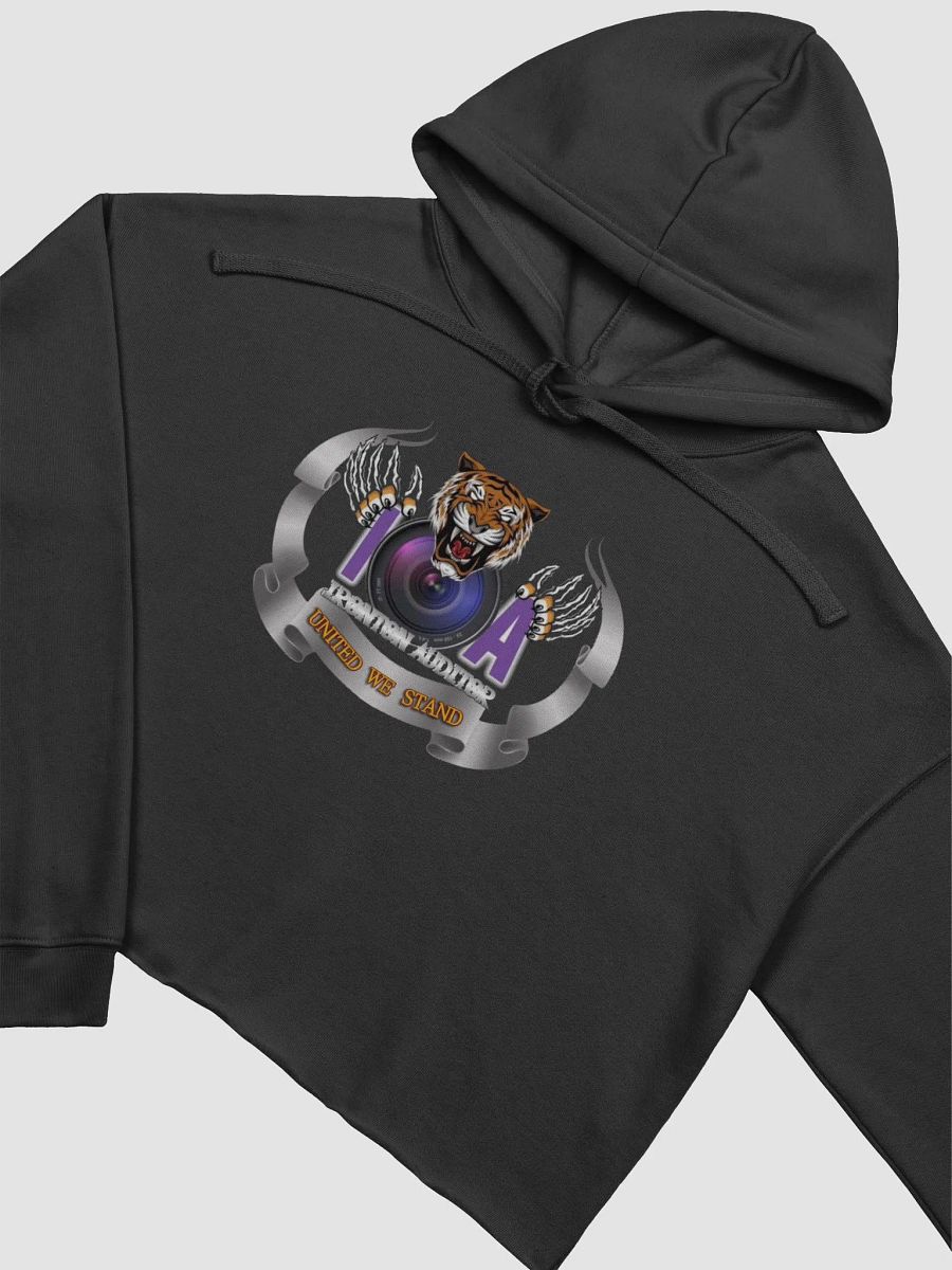 Ironton Auditor Bella+Canvas Fleece Crop Hoodie product image (3)