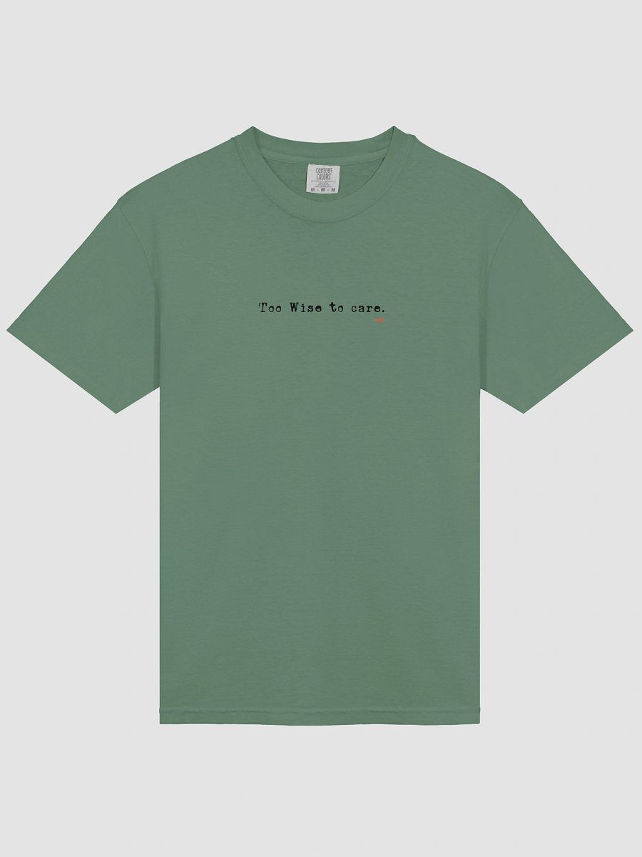 Cat Wisdom : Too Wise to care T-Shirt product image (84)