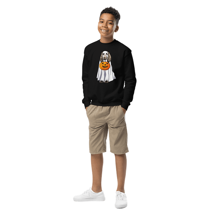Halloween Boykin Spaniel Youth Sweatshirt product image (1)