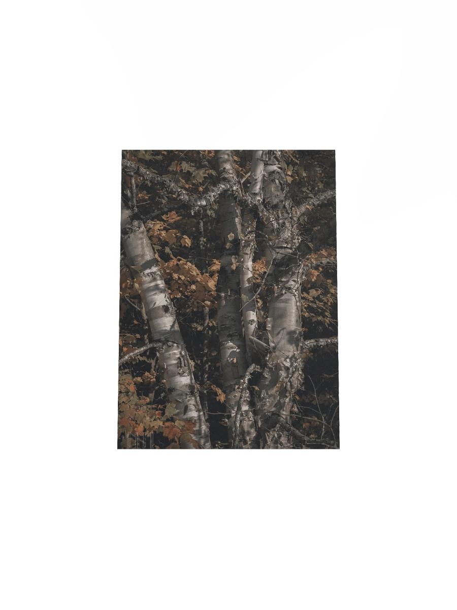 Elec Aspen product image (7)