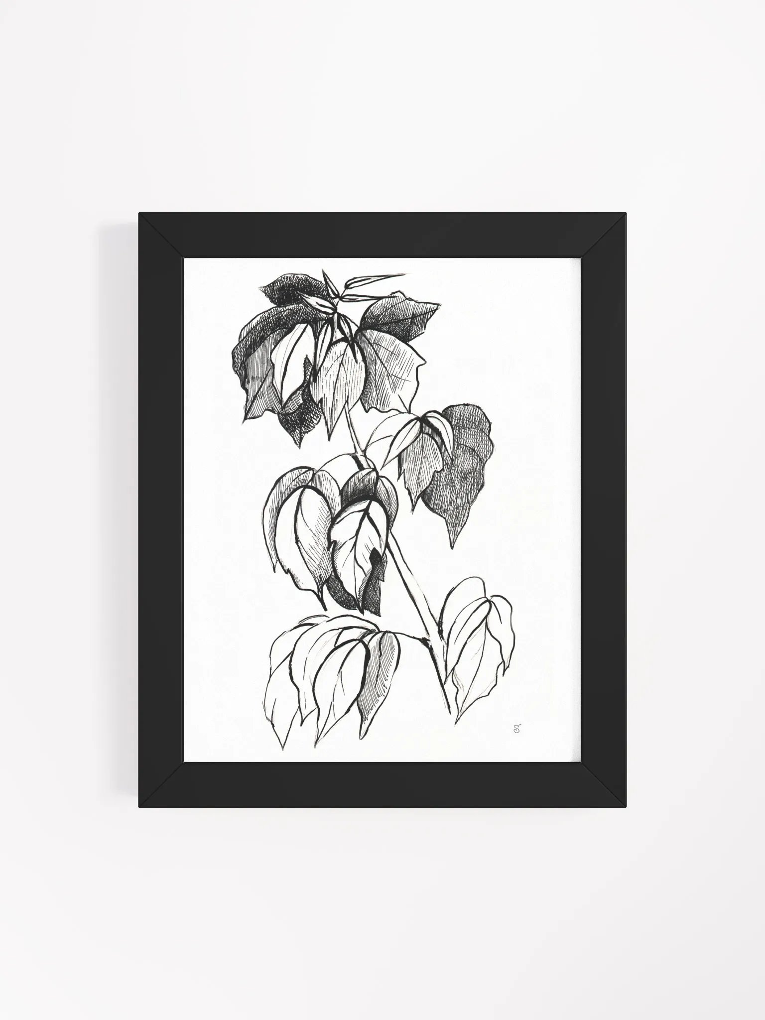 Botanical Sketch Framed Matte Poster - Stylish Graphical Twig product image (11)
