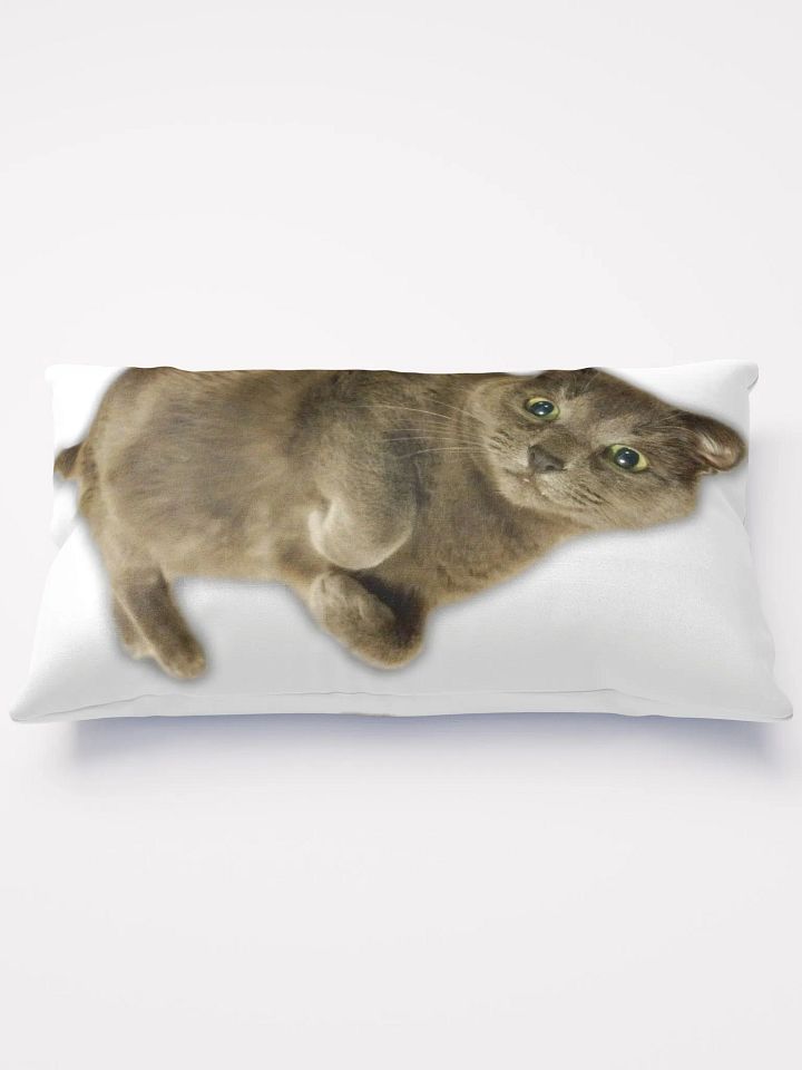 Smokey & Zoey Pillow product image (1)