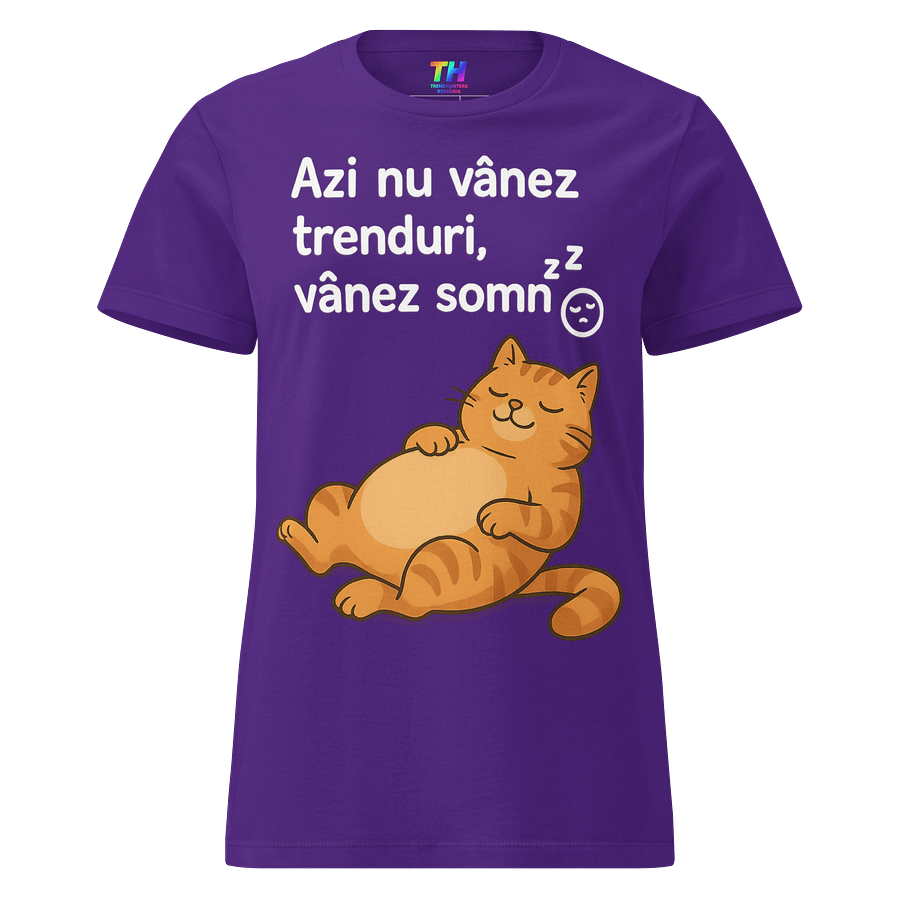 Chasing Sleep Cat Women's Tee product image (1)