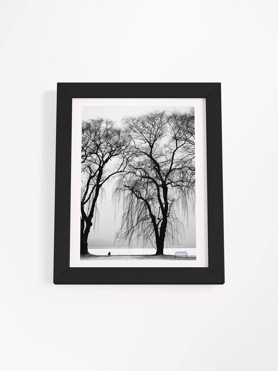 SOLACE IN THE MIST product image (2)