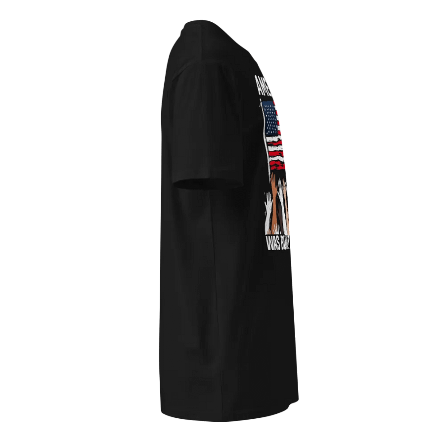 America Was Built by Immigrants Diversity Immigration Rights T-Shirt product image (6)