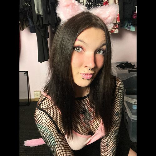 Meow meow meow? MRRREOW! 💛
•
Jede Woche live auf Twitch: Dienstag, Donnerstag, Freitag und Samstag! Änderungen werden auf Ins...