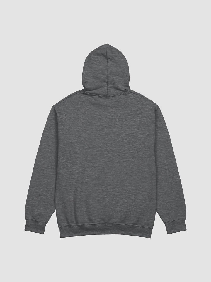 WHAT DID I JUST WALK IN ON!? - Hoodie product image (6)