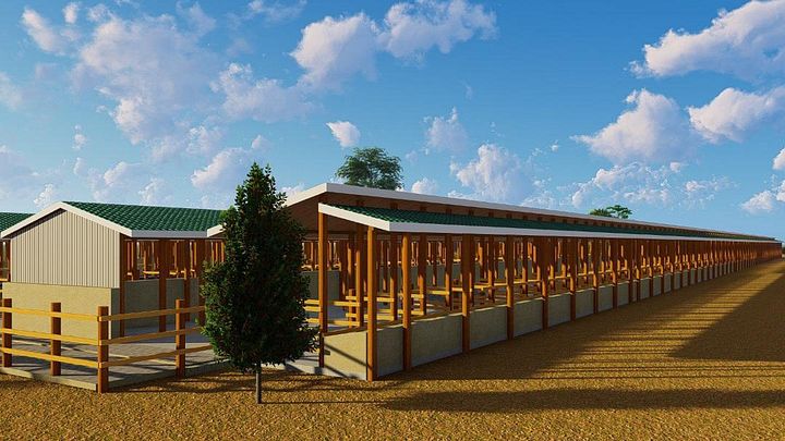200 Dairy Cows Design Plan product image (2)