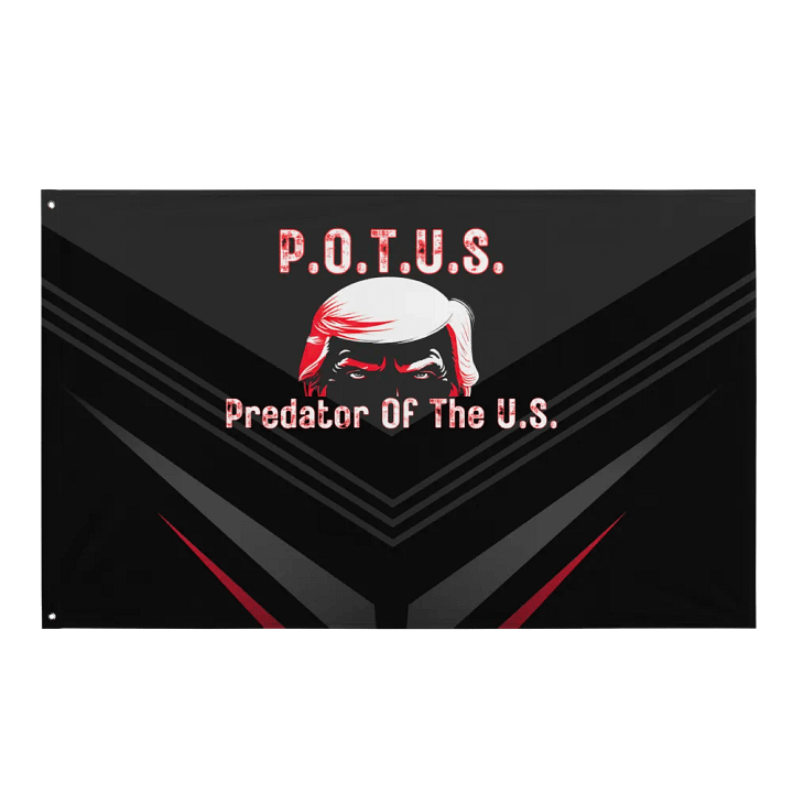 Resistor, POTUS w/ Image, Black Flag product image (1)