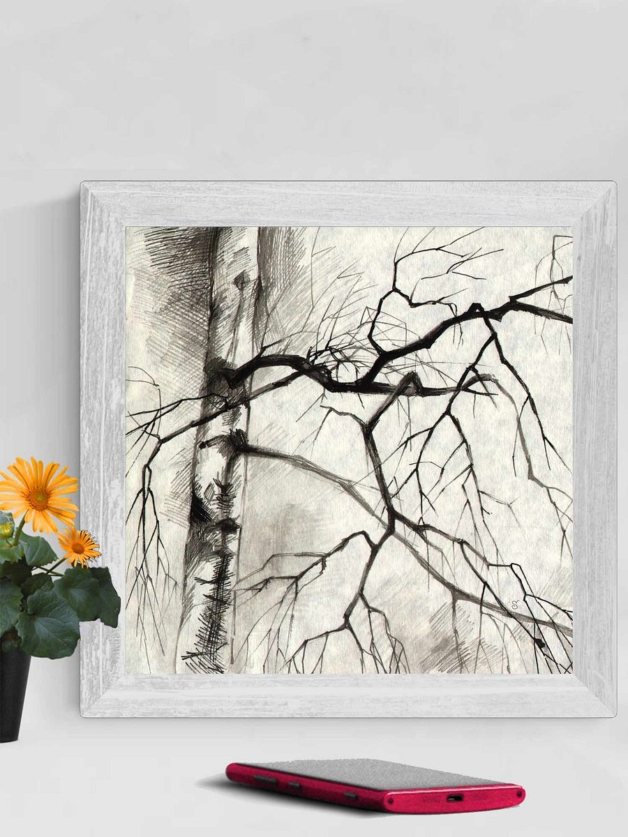 Birch Whispers Canvas - Birches product image (3)