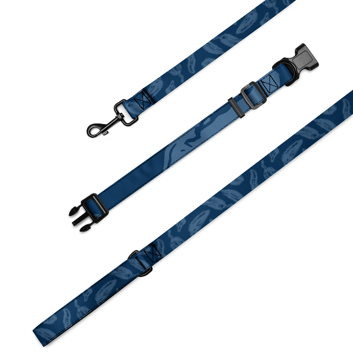 Pupper Pep Collar and Lead in Blue product image (2)