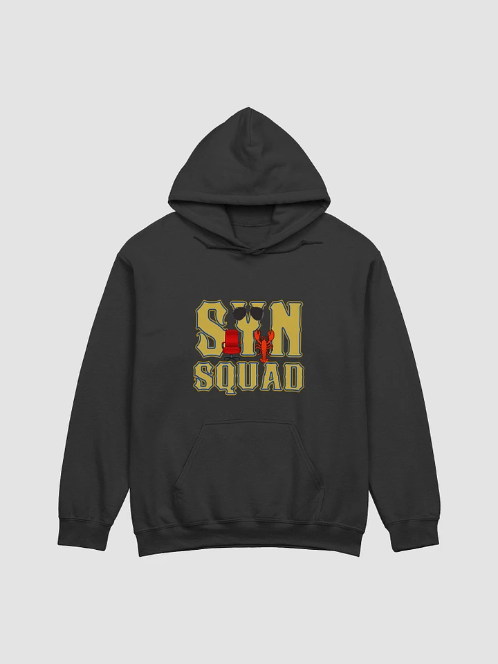 Syn Squad USAF Hoodie product image (1)