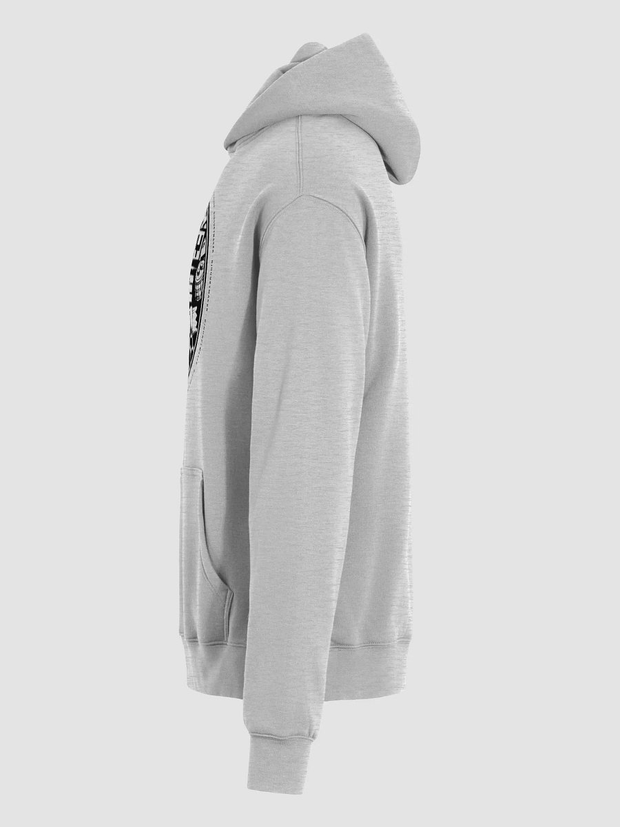 Play More Live More Unisex Premium Oversized Hoodie product image (12)