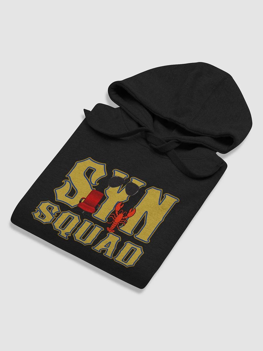 Cuddly Syn Squad USAF Hoodie product image (5)