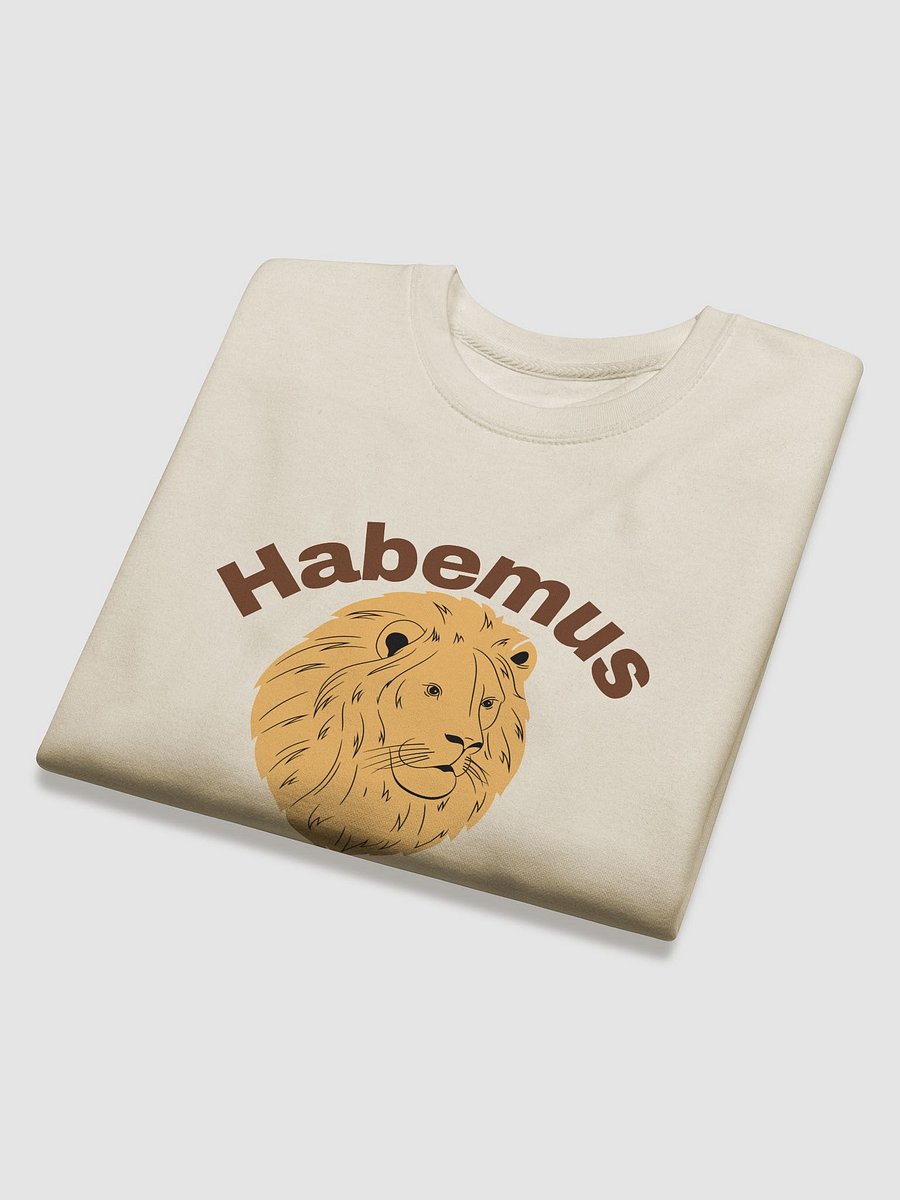 Habemus Papam 2025 Premium Sweatshirt product image (4)