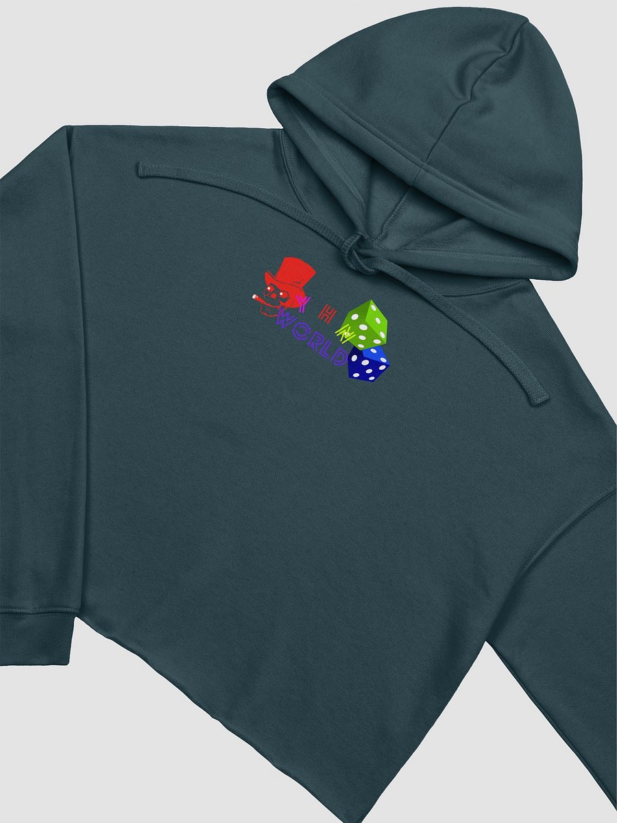 YHN World Cropped Hoodie product image (22)