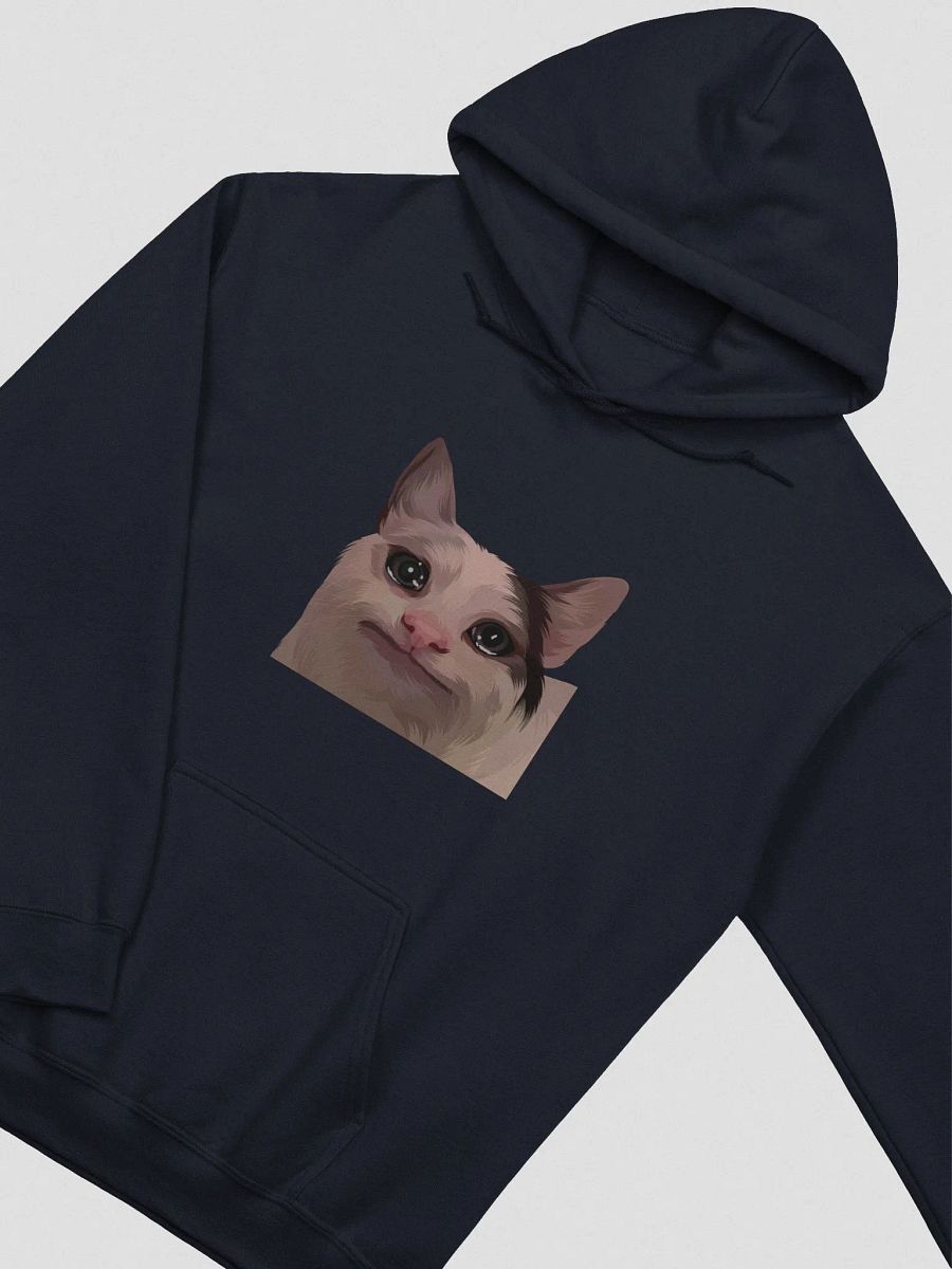 Polite Cat Hoodie product image (3)