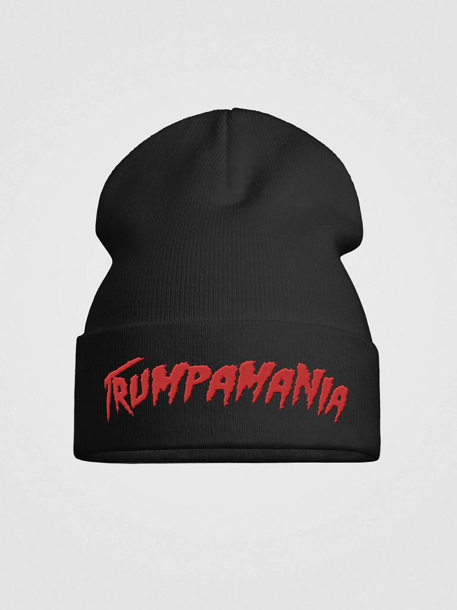 TRUMPAMANlA - Beanie product image (1)