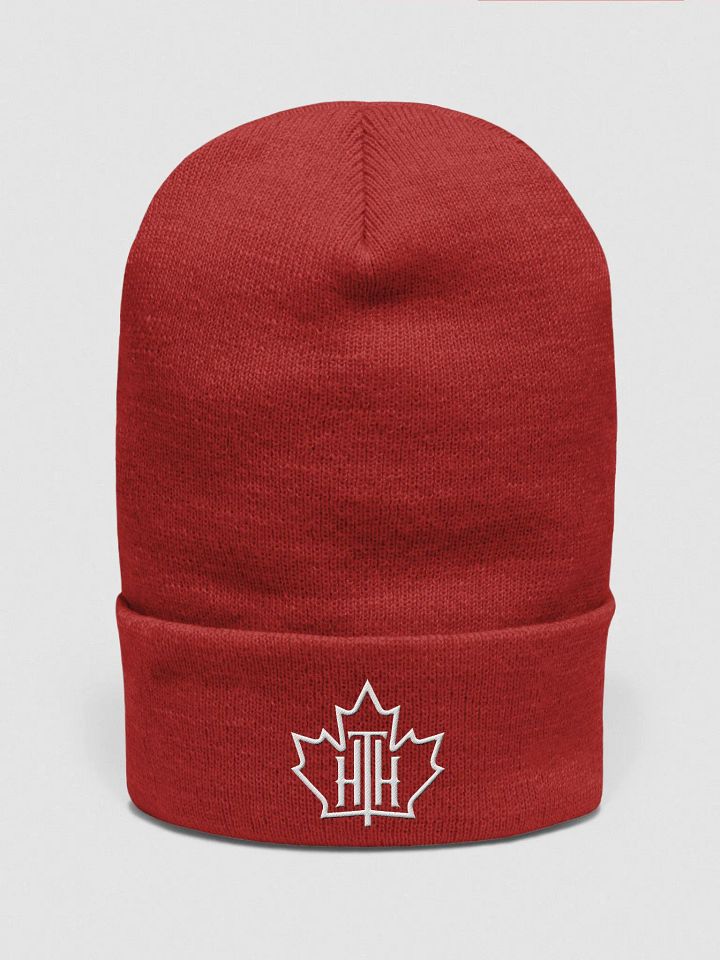 HTH Beanie product image (1)