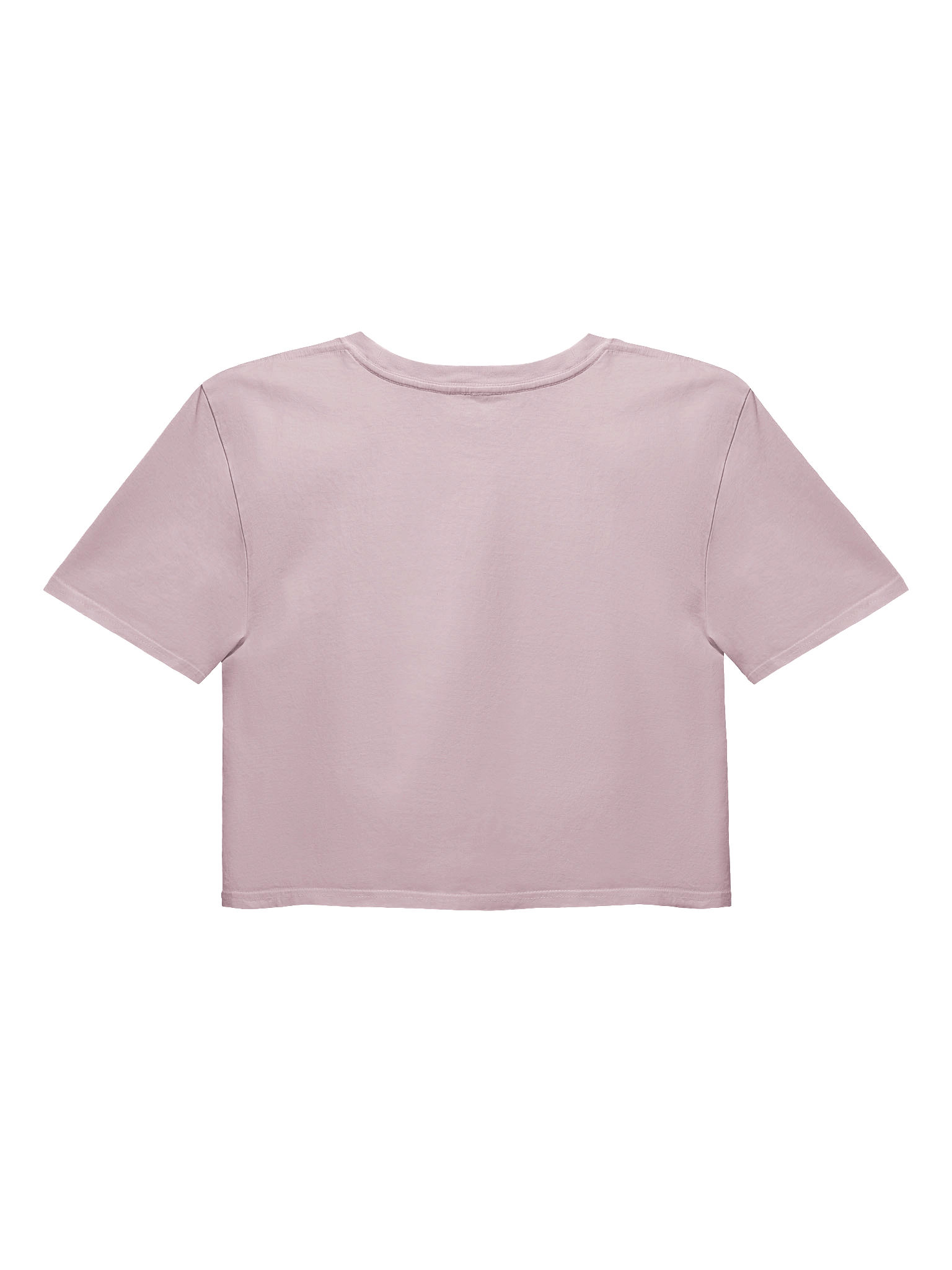 Sardines in Waves Relaxed 100% Cotton Women's Crop Top product image (2)