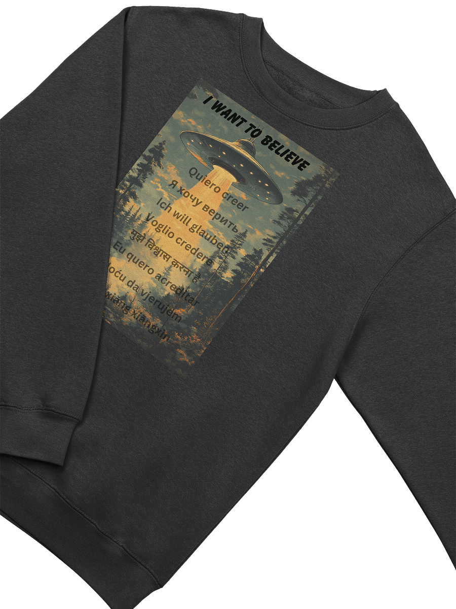 UFO Sweatshirt "I Want To Believe" Multiple languages product image (3)
