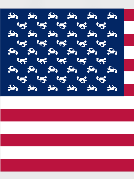 United SXS of America Hoodie product image (2)