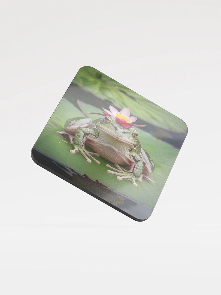 Frog Coaster product image (1)