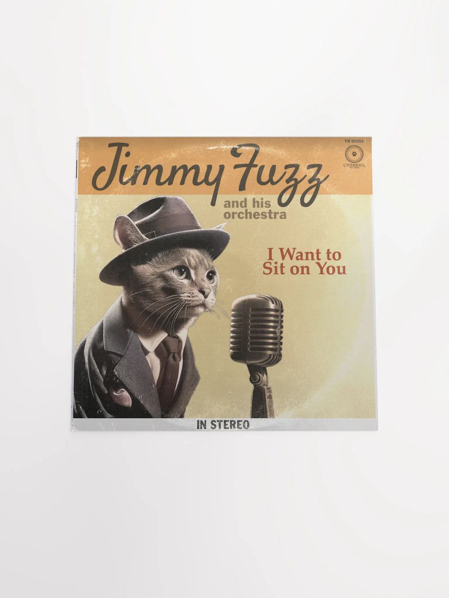 Jimmy Fuzz Poster - I Want To Sit On You album jacket (front) - 12