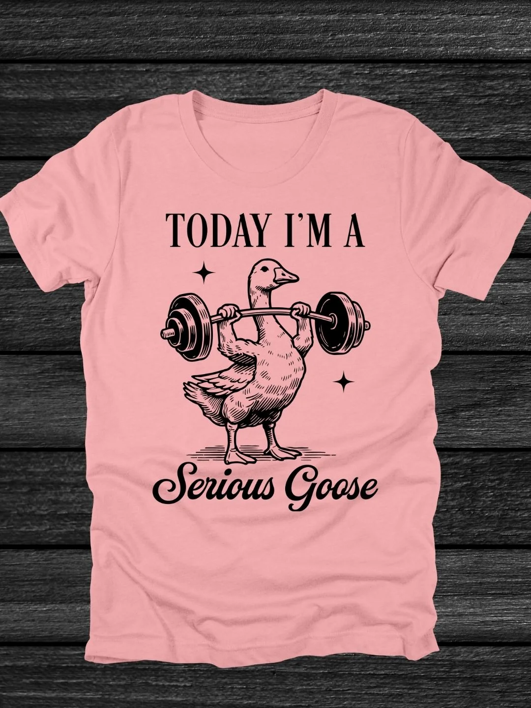 Today I'm A Serious Goose T-Shirt product image (18)