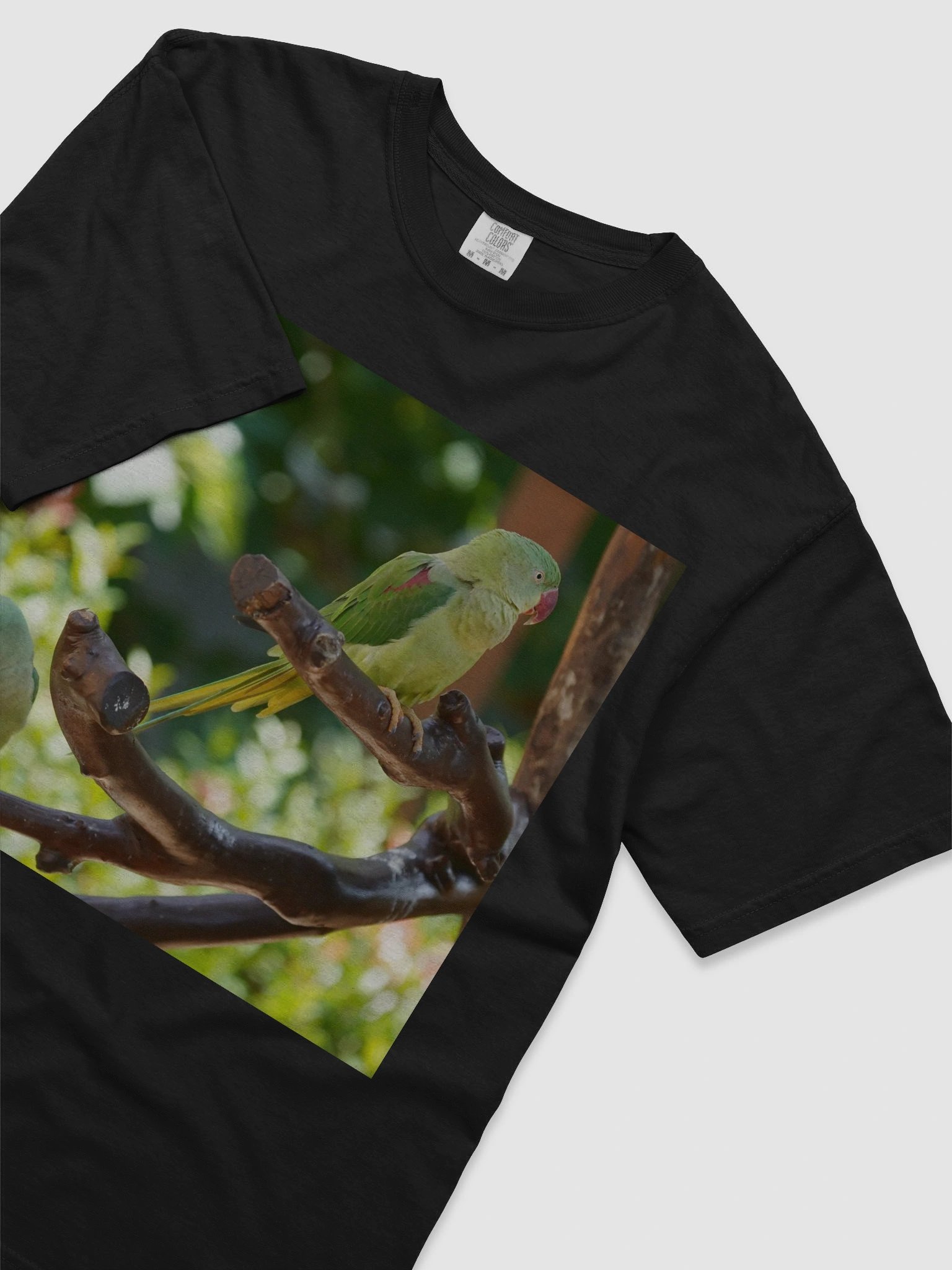 Parrot Perch Heavyweight Tee product image (3)