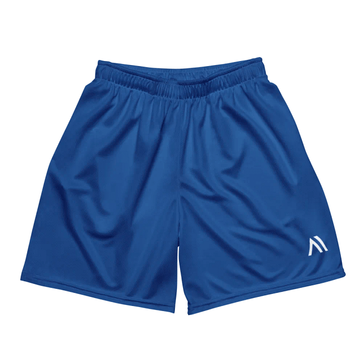 Athletic Shorts - Royal Blue product image (1)