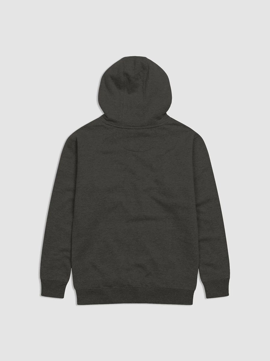 Too Much Hoodie (BB x CH) product image (2)