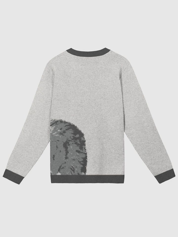 Meonochromeowtic Sweater product image (9)