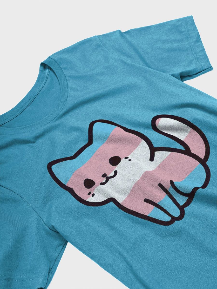 Transgender Pride Kitty Woman's Shirt product image (28)