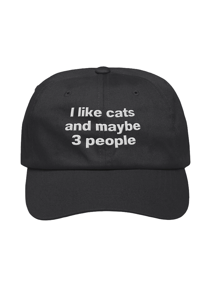 I like cats and maybe 3 people Embroidered Hat product image (7)