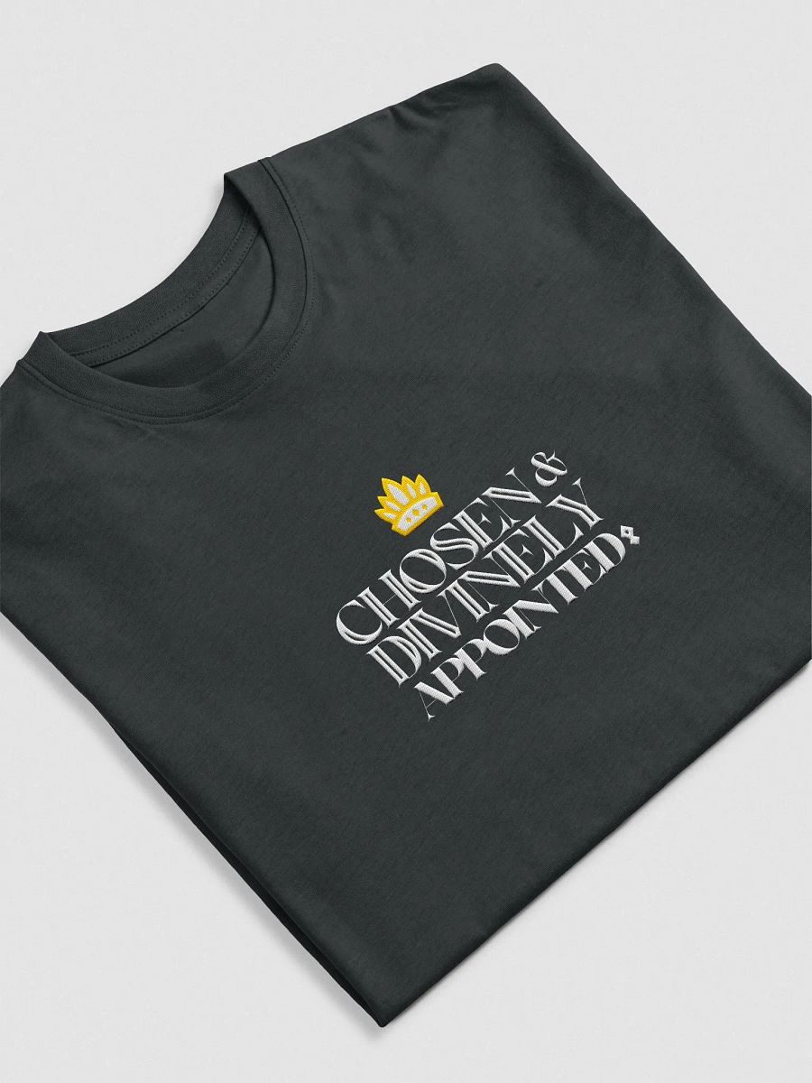 Chosen and Divinely Appointed product image (17)