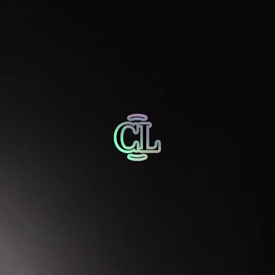 Logo Holographic Stickers! product image (4)