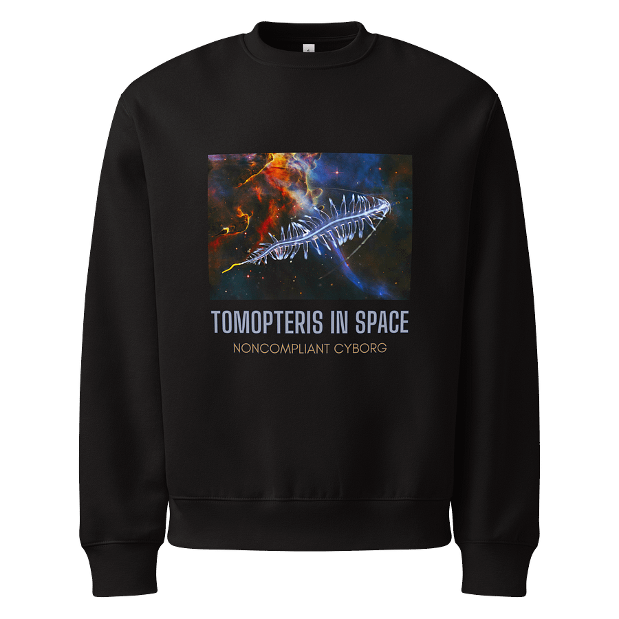 Tompteris in Space with text Sweatshirt product image (5)