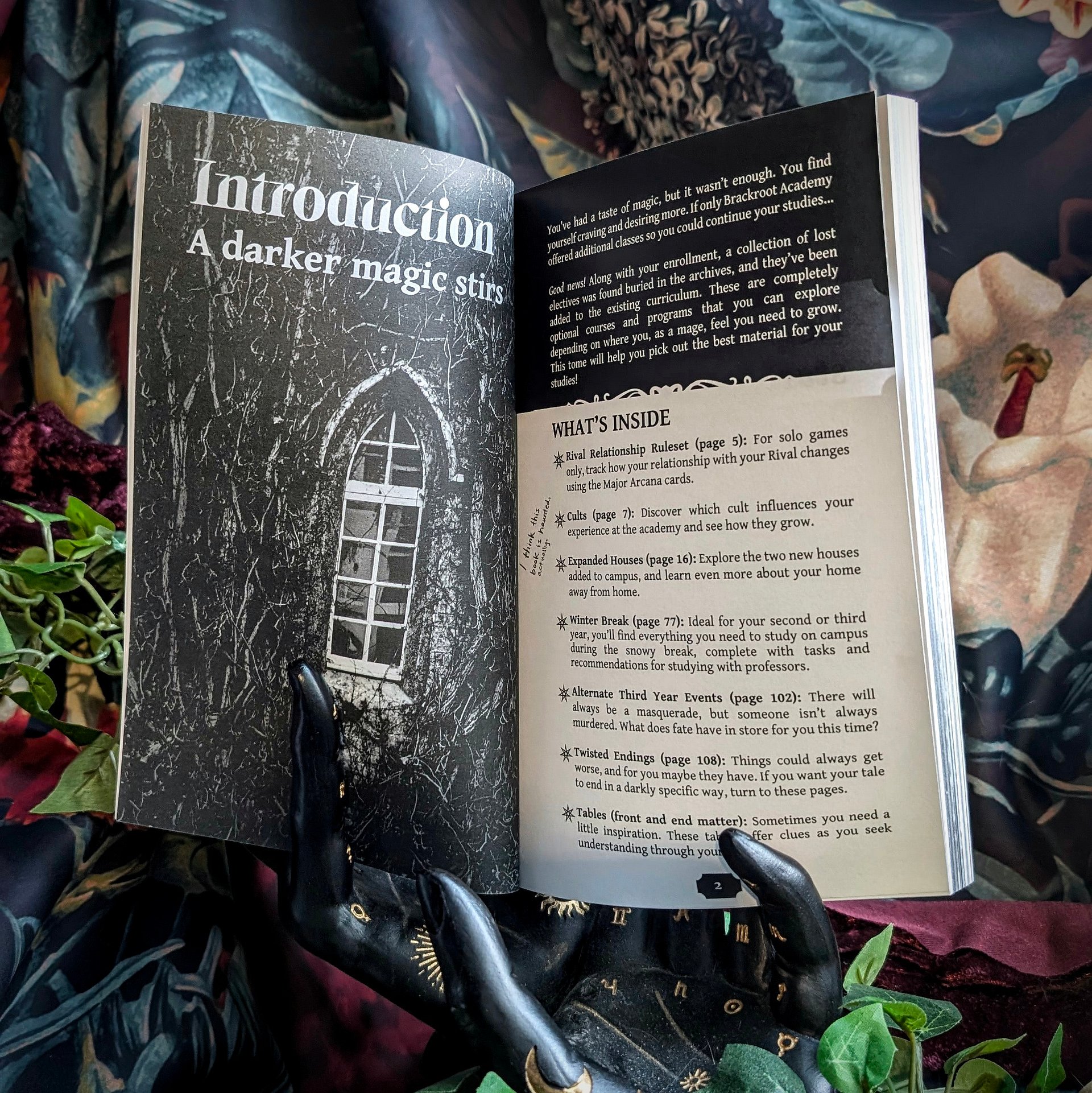 Tangled Blessings: Echoes of Lost Electives product image (2)