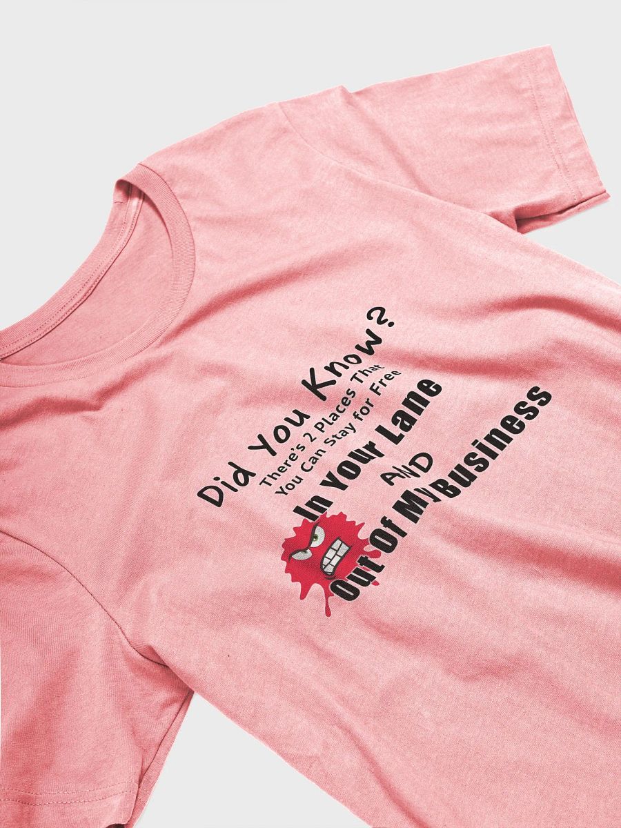 Did You Know T-shirt product image (2)