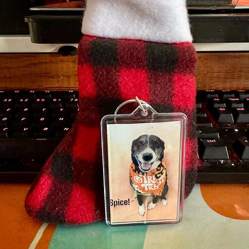Spice got her nails done at Maverick’s this morning (doesn’t look like they’re on Instagram 🥲) and look at this cute keychain...
