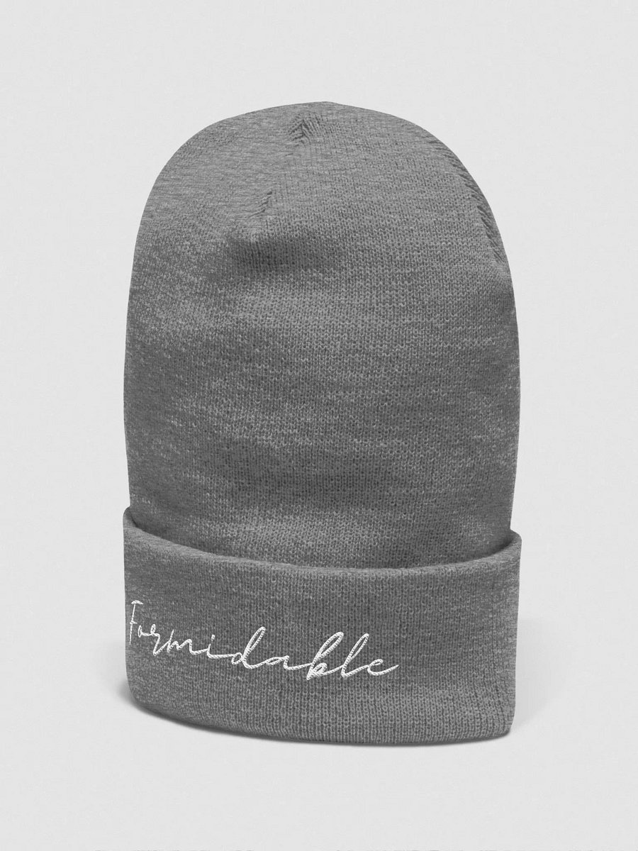 Formidable Beanie product image (14)